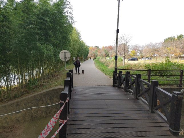 무작정 위험한 행동을 할 때 자살행위라고 부르는 이유의 0번 째 이미지