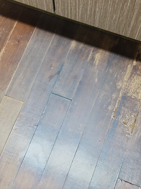 월세 하자 고쳐준다는 답 받고 이사했는데... 수리 안해주고 곰팡이와 다른 다수의 하자 발견 사기죄로 고소할 수 있을까요???의 1번 째 이미지