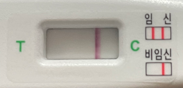 얼리임테기 시기 14일차 정확할까요?의 0번 째 이미지