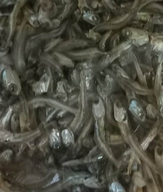 조림용 멸치 똥 떼고 먹어야하나요의 0번 째 이미지