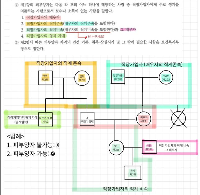 국민건강보험법 제5조 피부양자 중 '배우자의 직계비속' 이 누군가요?의 0번 째 이미지