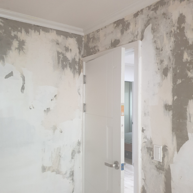 누수로 집안곰팡이 냄새 어떡하죠?의 0번 째 이미지