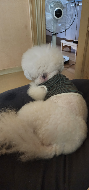악성피부종양 재발했는데 또 <mark>수술</mark>해야할까요?의 2번 째 이미지