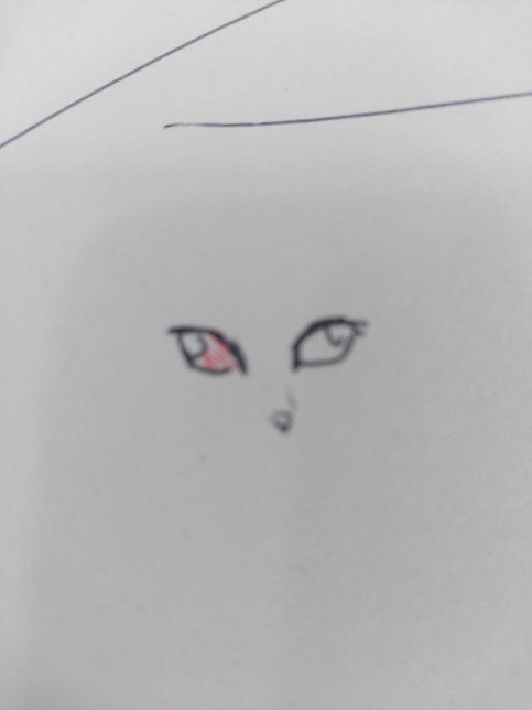 학교에 있는 길고양이 눈이 이상해요의 0번 째 이미지