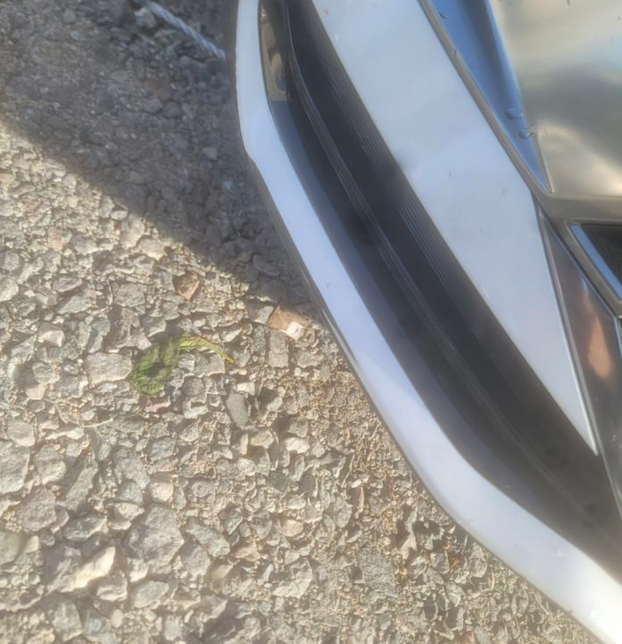 렌트카 긁힘사고 물어줘야할까요?의 1번 째 이미지