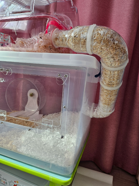 햄스터집 1, 2층을 통로로 연결해줬더니 다 막아버렸는데 습성인가요?의 0번 째 이미지