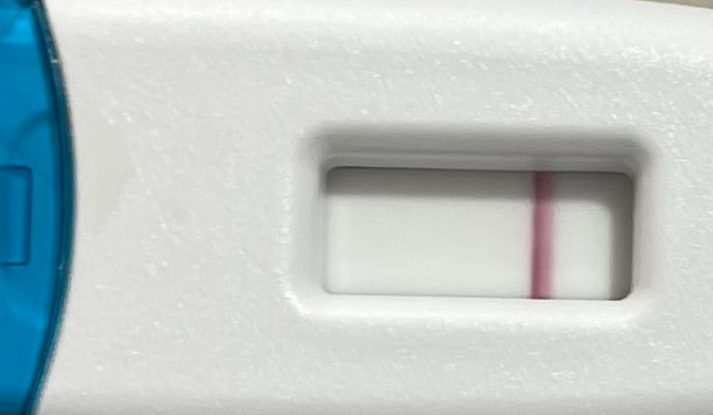 얼리임신테스트기 정확도 얼마나 되나요?의 0번 째 이미지