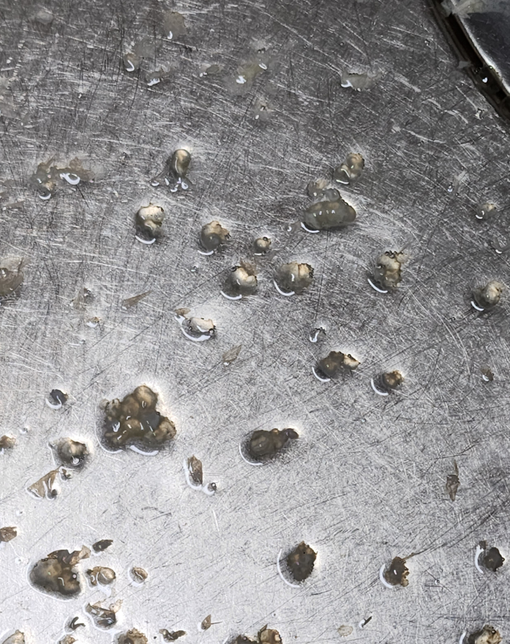 계란을 풀고나면 바닥에 가라앉은 이것이 무엇일까요?의 0번 째 이미지