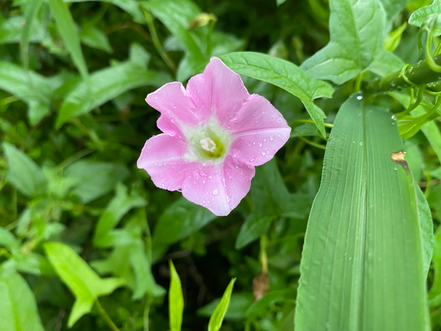 세면대 뚫는 쉬운 방법이 궁굼합니다.의 0번 째 이미지