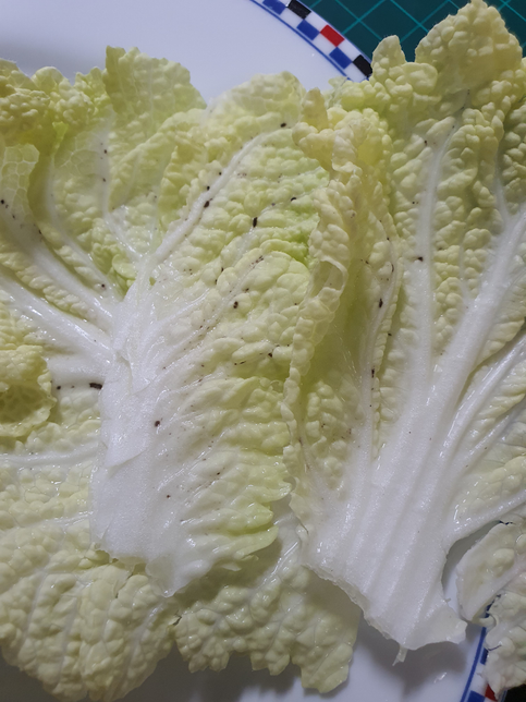 배추를 사서 먹었는데 배추에 검정 점들이 막 보이네요의 0번 째 이미지