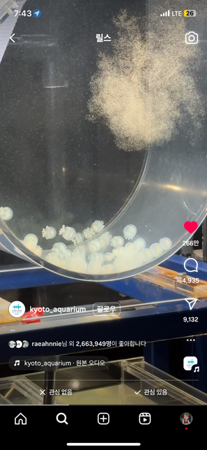 사진 속 해파리 종류가 어떻게되나요?의 0번 째 이미지