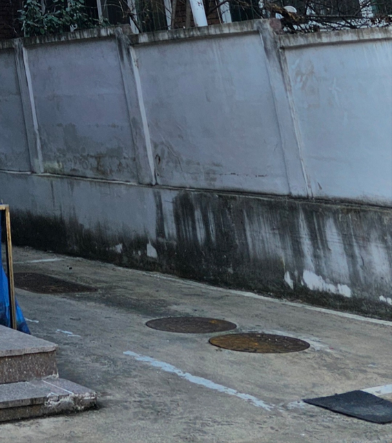 담벼락 물때. 곰팡이 제거 방법?의 0번 째 이미지