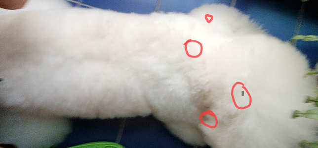 악성피부종양 재발했는데 또 <mark>수술</mark>해야할까요?의 0번 째 이미지