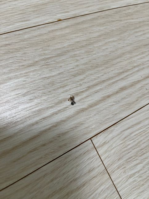 청소업체 청소 후 바닥 찍힘 보상의 1번 째 이미지