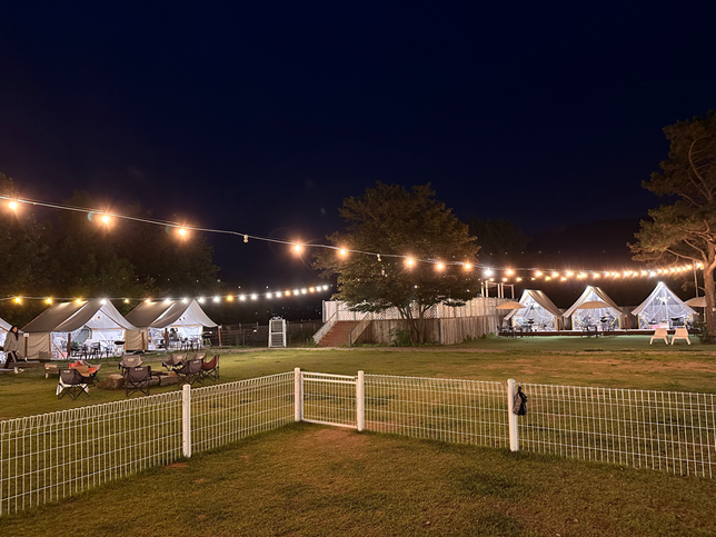 애견동반 식당 내 애견운동장 넘어짐사고(골절) 보상가능할까요?의 1번 째 이미지
