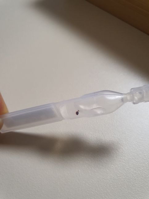 일회용 인공눈물 내부 이물질 혼입 발견 시 교체 및 보상 관련 문의드립니다!의 1번 째 이미지