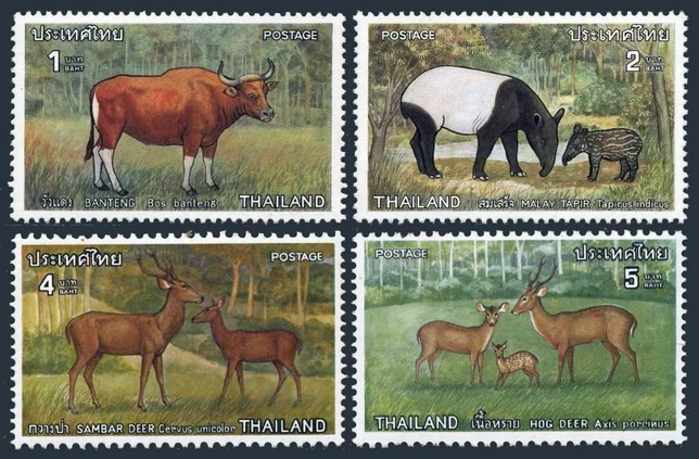 말레이맥이 옛날에 태국에도 살았나요?의 1번 째 이미지