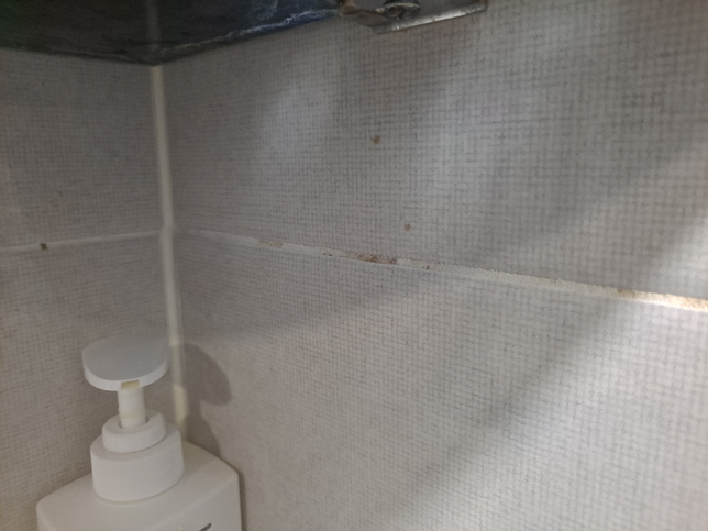 화장실 타일사이 곰팡이 어떻게 없앨수 있죠의 0번 째 이미지