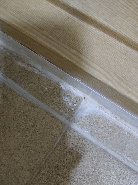 이 벌레가 집에서 계속 보이는데 박멸하는 방법좀요의 2번 째 이미지