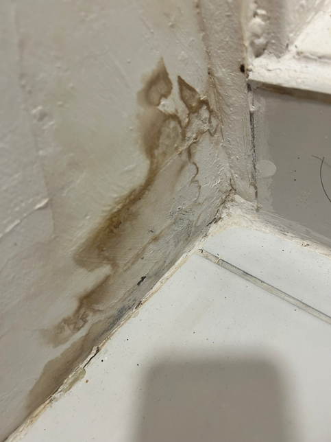 원룸 이사온지 1주일 되었는대 벽에 물자국이 생겼습니다의 0번 째 이미지