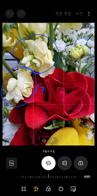 이거 꽃 이름 아시는 분 좀 알려주세요~~의 0번 째 이미지