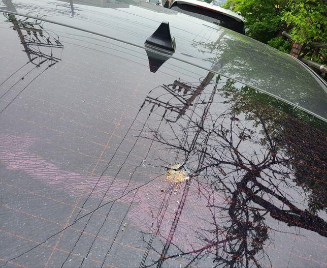 아파트 주차장에서 자동차 뒷 유리 깨짐의 0번 째 이미지