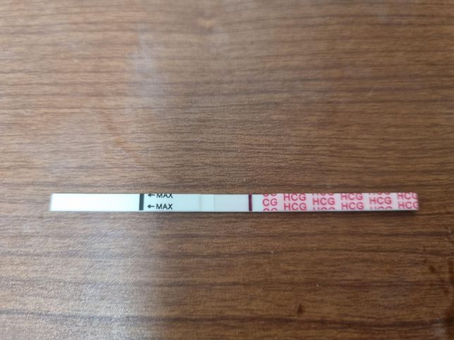 선생님들 임신 가능성에 대해서 문의 드립니다의 0번 째 이미지