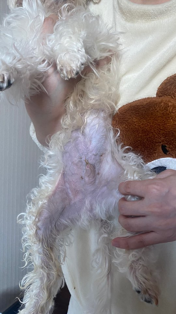 이틀입원하고 수액 맞고 피부가 시퍼랗게 변한이유?의 0번 째 이미지