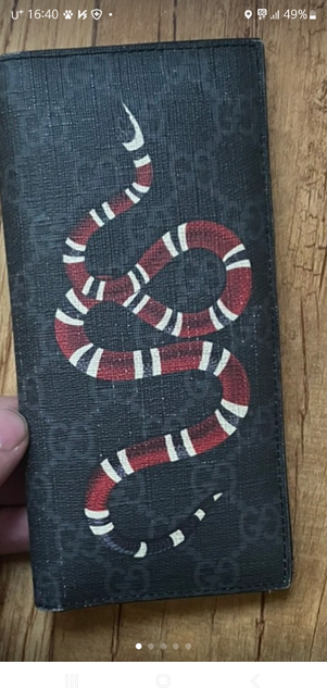 이 뱀 이름이 뭔지 아시는분?의 0번 째 이미지