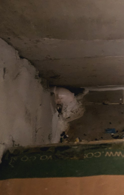 정수기 아래 구멍..배수관 일까요?의 2번 째 이미지