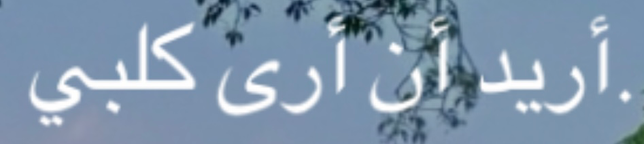 무슨 언어인지 번역 가능할까용의 0번 째 이미지