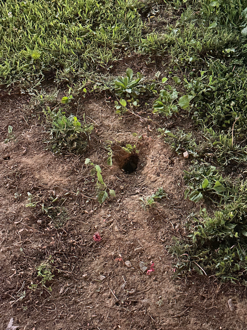 애견동반 식당 내 애견운동장 넘어짐사고(골절) 보상가능할까요?의 0번 째 이미지