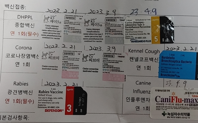 예방접종 백신은 같은 회사의 것으로 부스팅 해야 3년 가고 아니면 1년 가는 건지의 0번 째 이미지