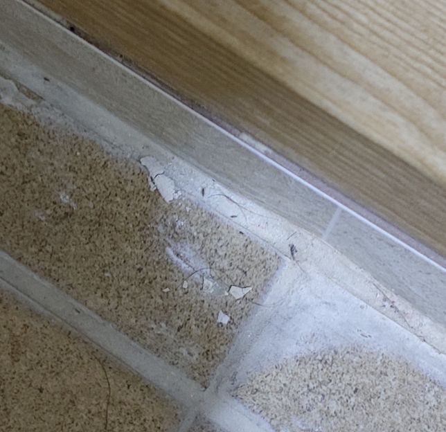 이 벌레가 집에서 계속 보이는데 박멸하는 방법좀요의 1번 째 이미지