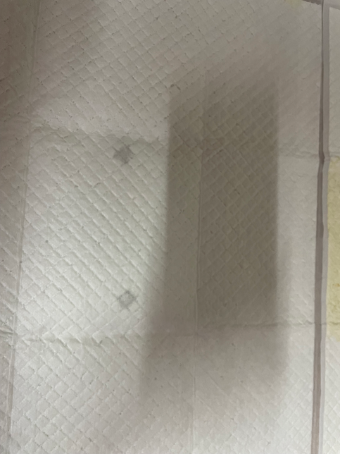 중성화 수술후 변을볼때 투명한 액체가 떨어졌어요의 0번 째 이미지