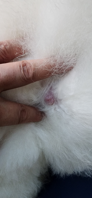 악성피부종양 재발했는데 또 <mark>수술</mark>해야할까요?의 1번 째 이미지