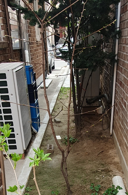 실외기 바람커버 설치가 의무인가요?의 0번 째 이미지