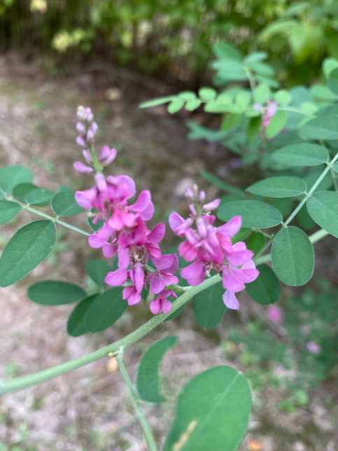 사람은 몇시간 자는 것이 좋을까요?의 0번 째 이미지