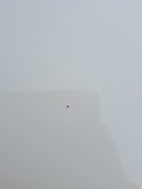 이럴때는 어떻게 해야 제가 수습을 할 수 있는 지 알려주세요의 0번 째 이미지