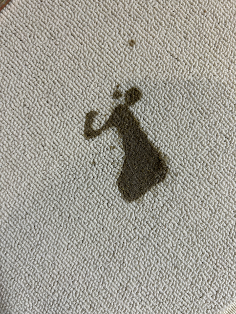 고양이가 종이를 먹었는데 괜찮을까요?의 0번 째 이미지