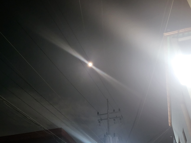 이 현상은 어떻게 나온건가요?의 0번 째 이미지