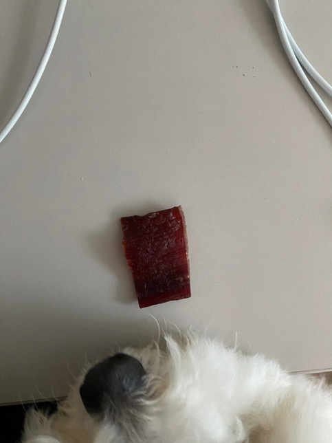 강아지가 사람먹는 육포를 먹었어요의 0번 째 이미지