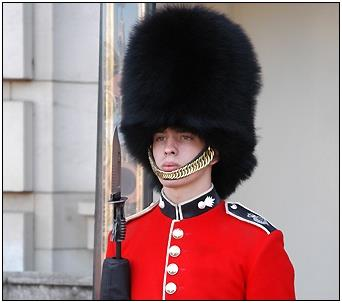 영국 근위병들이 쓰는 검은 모자는 언제부터 왜 쓰기 시작했나요?의 0번 째 이미지