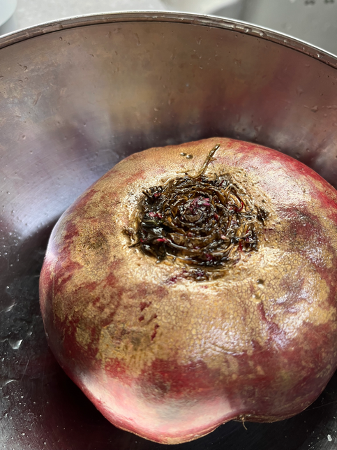 싹 난 비트 이유식 해도 될까요?!의 0번 째 이미지