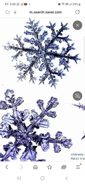 눈의 결정체 모양이 민들레 잎사귀 모양인데요 이유가 있는 건가요?의 0번 째 이미지