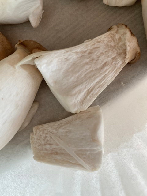 버섯 상한 건지 좀 봐주세요!!의 0번 째 이미지