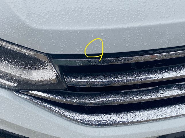 돌빵으로 인한 도장 벗겨짐,어떻게 해결하시나요?의 1번 째 이미지