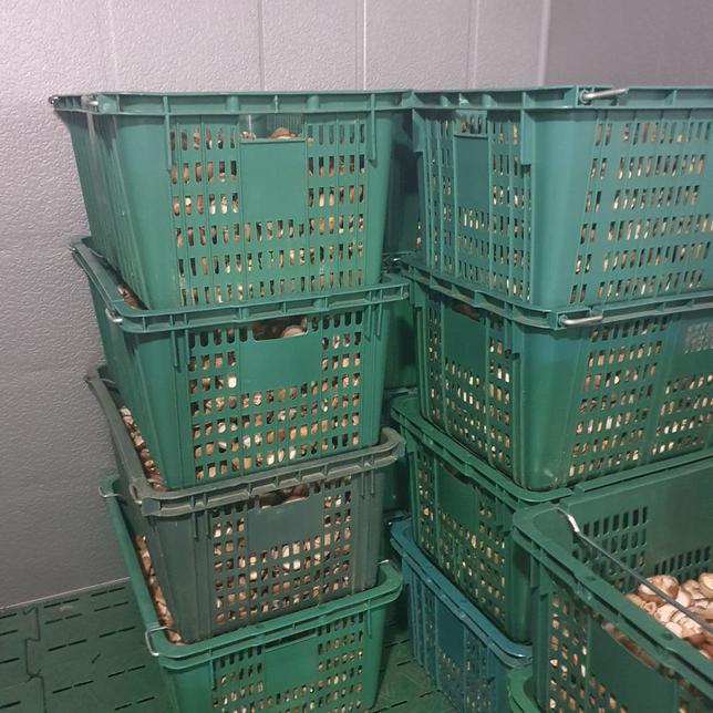 사진속의 바구니 이름이 뭔가요?의 0번 째 이미지