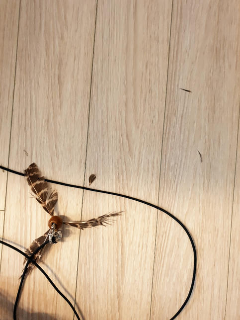 고양이가 장난감을 먹는 것 같아요. 어떻게 하면 좋을까요?의 1번 째 이미지