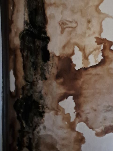 천장누수로 인한 피해보상 받을 수 있을까요?의 1번 째 이미지